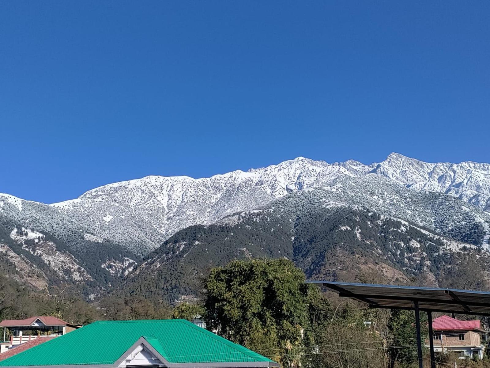 Homestay Palampur View エクステリア 写真
