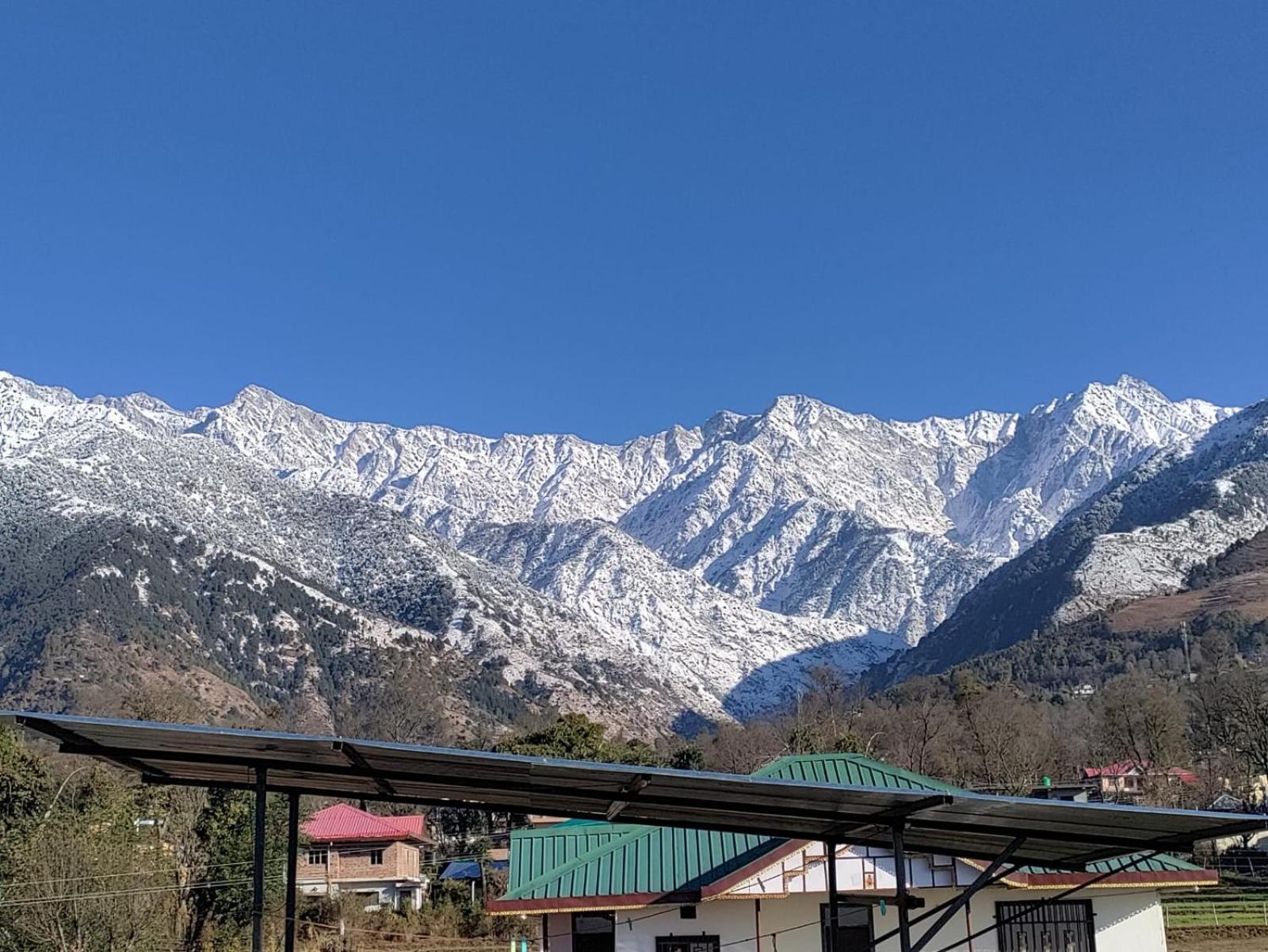 Homestay Palampur View エクステリア 写真