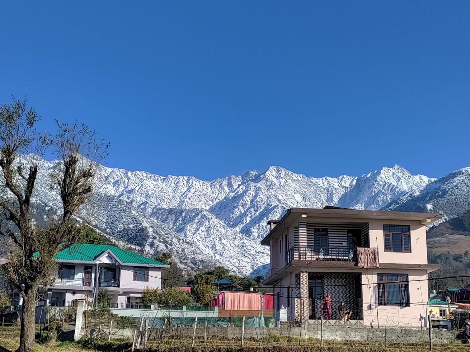 Homestay Palampur View エクステリア 写真